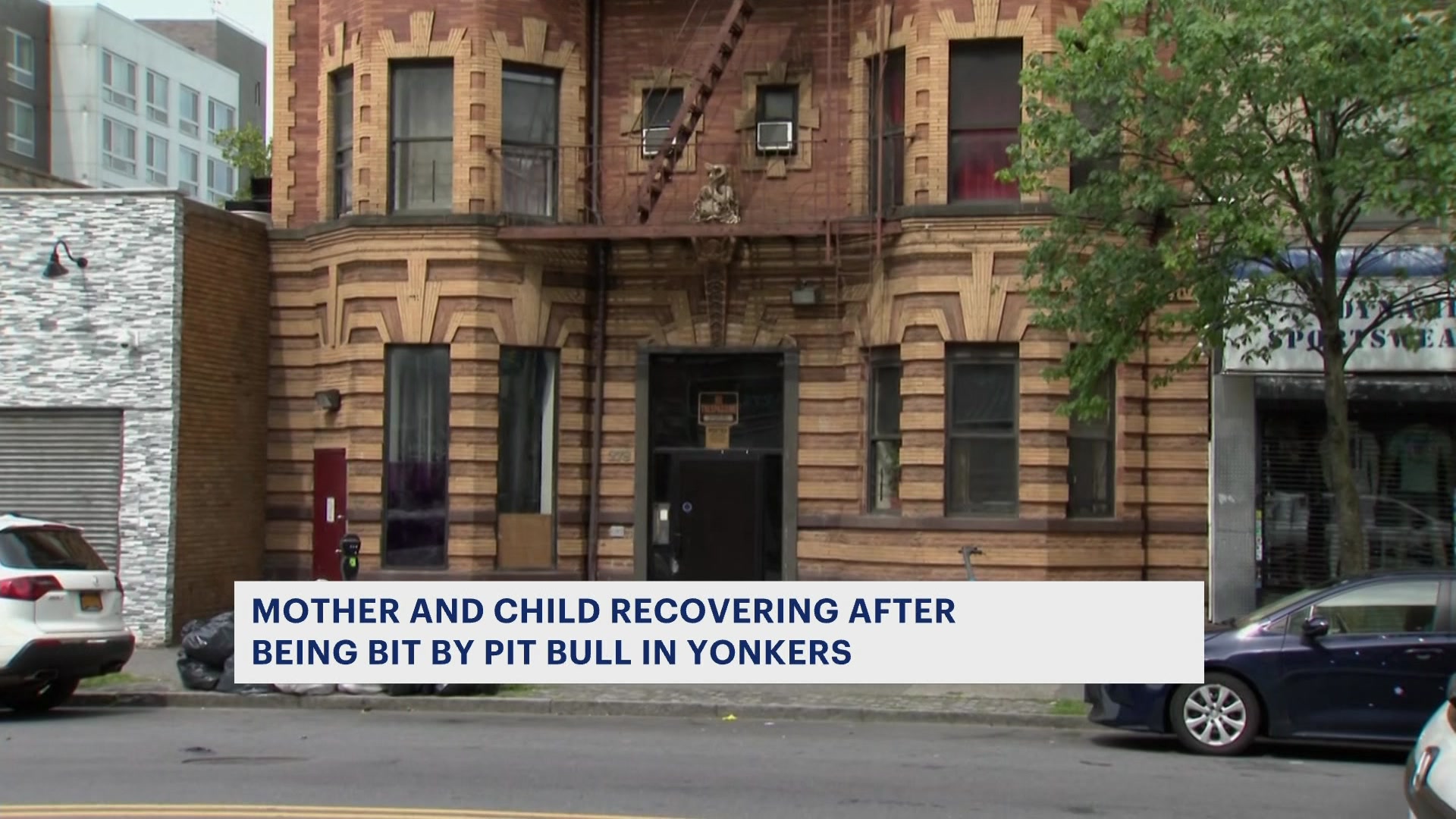 Police Mother, 2yearold daughter bit by neighbor’s dog in Yonkers