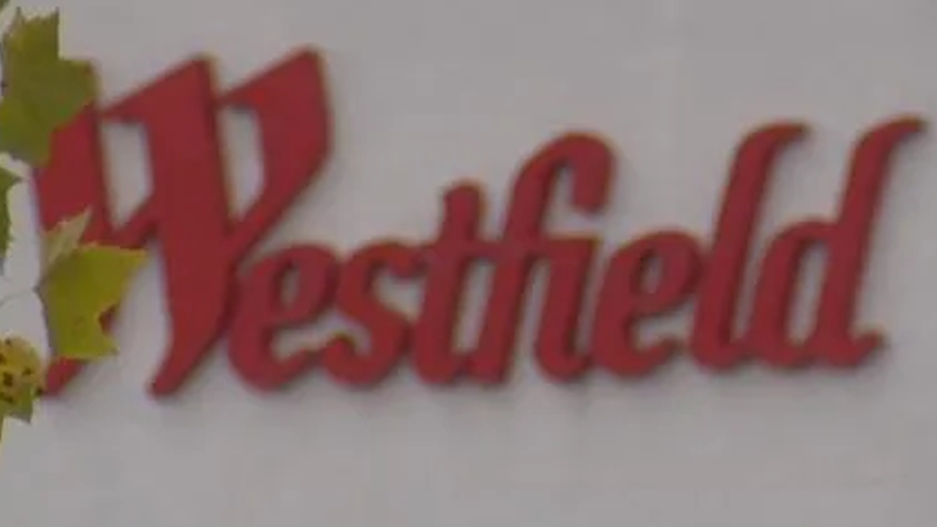 Police: 2 people charged for allegedly assaulting Trumbull mall food Police: 2 people charged for allegedly assaulting Trumbull mall food