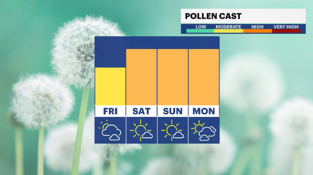 Screenshot 2026-04-09 145903.png