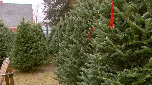 Article 144558 Thumbnail