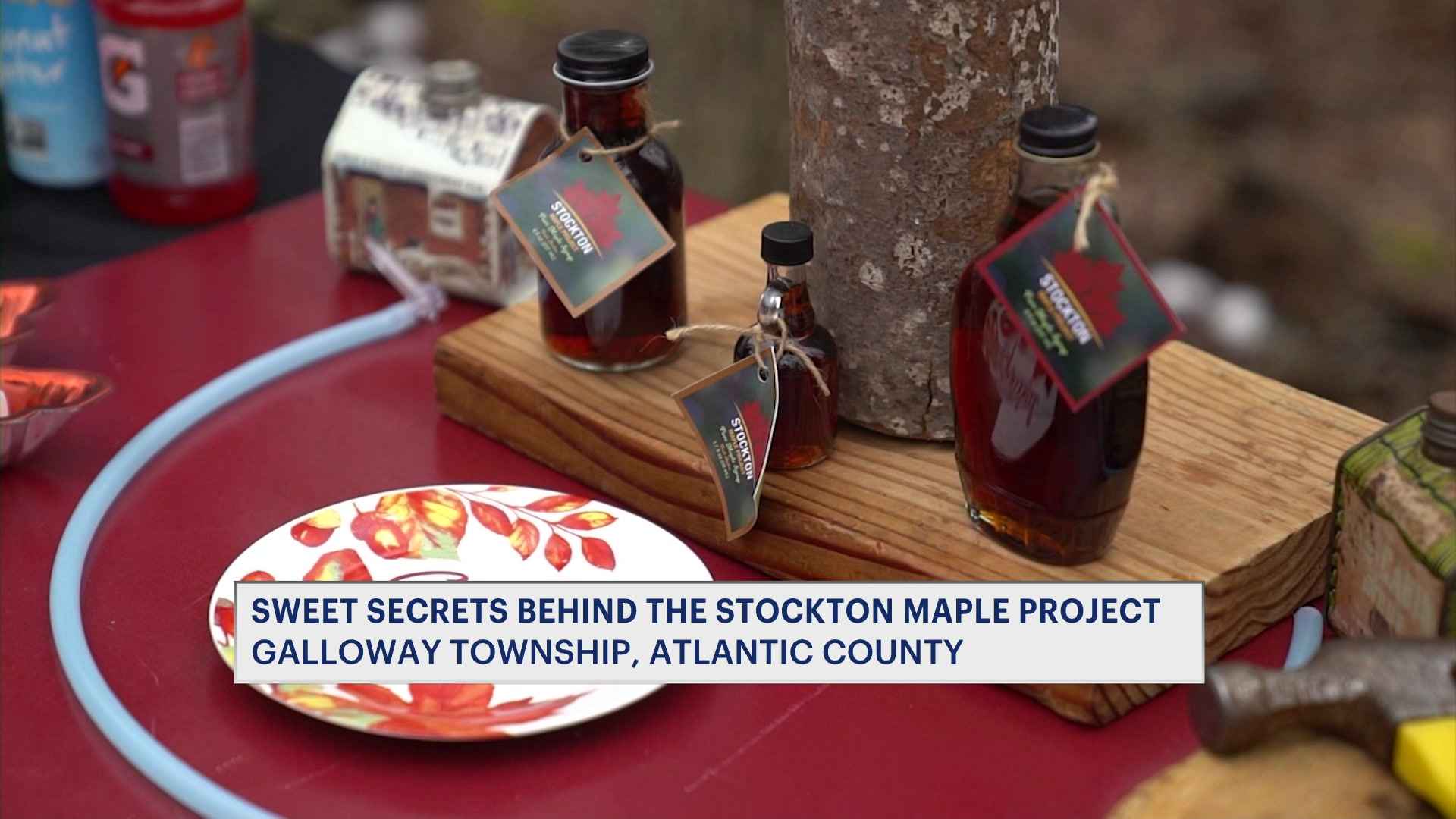 3162026NJmaple_2026-03-16-07-36-58