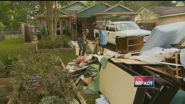 Article 130453 Thumbnail