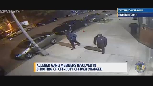 Article 107595 Thumbnail