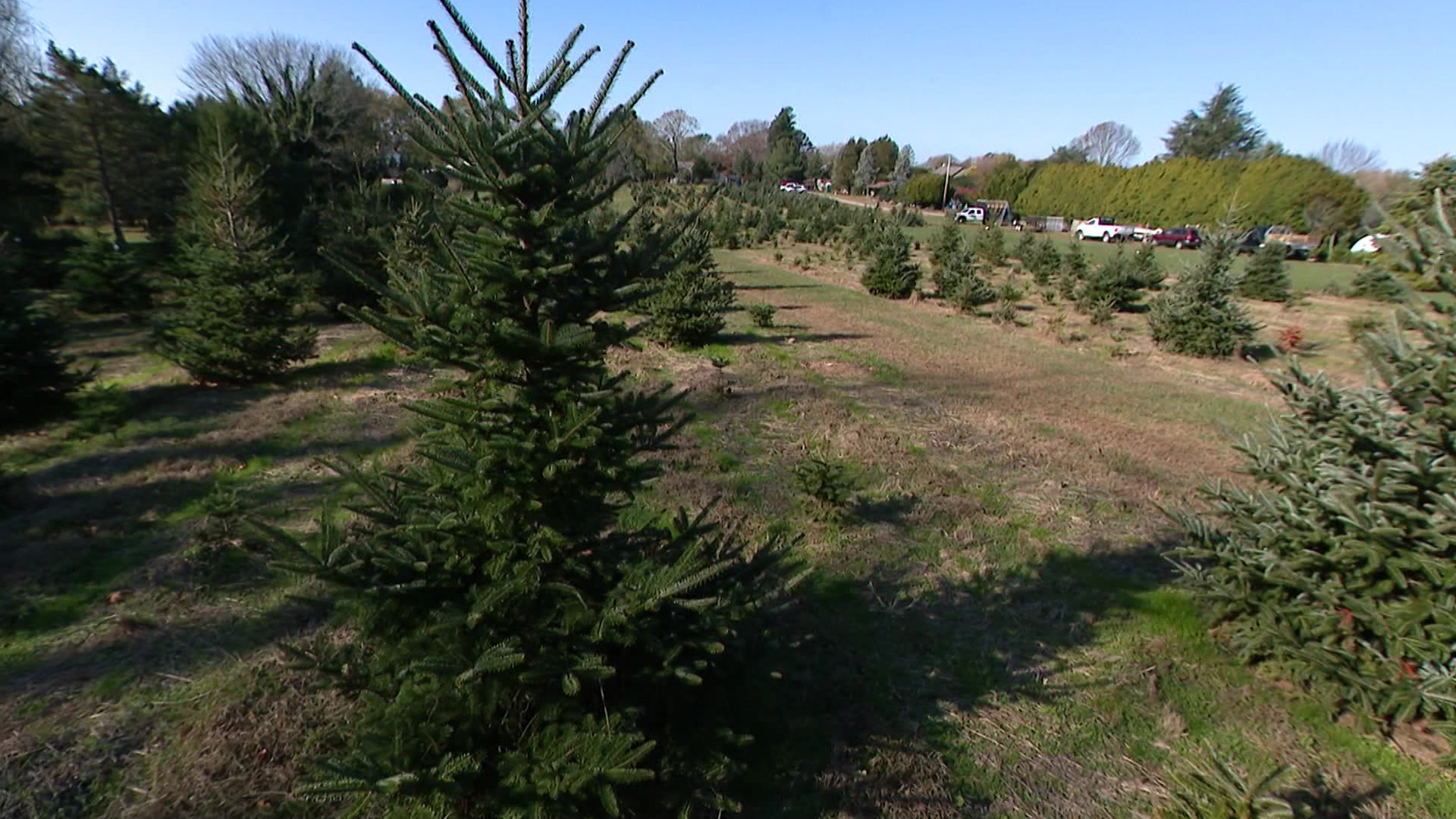 East End Full Show North Fork Chocolate, Southold Fish Market, Dart's