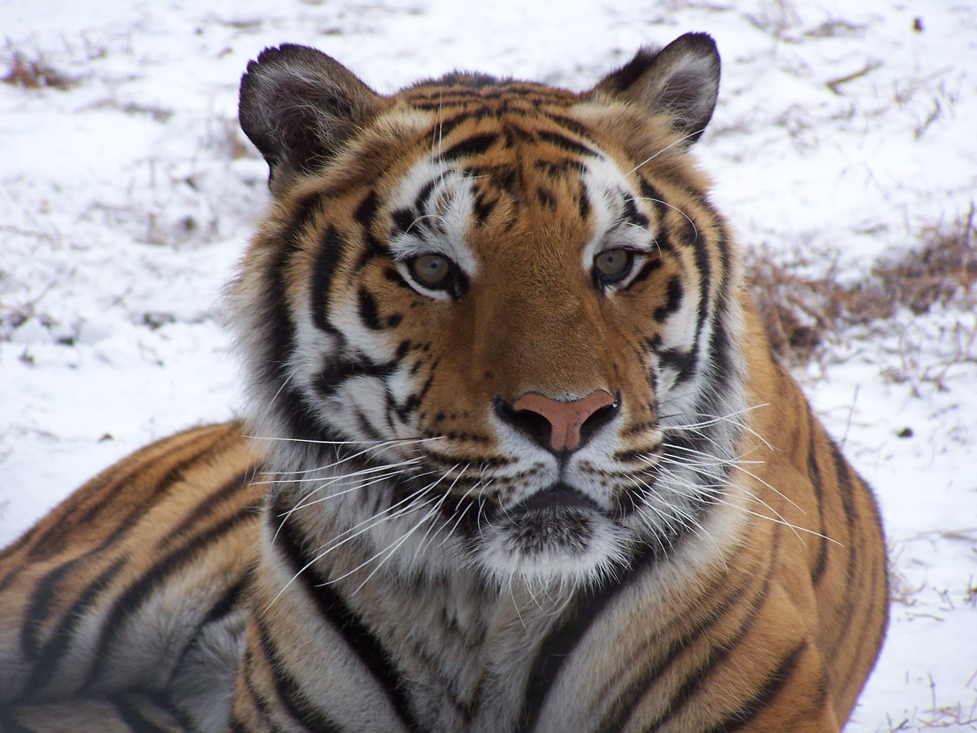 Article 258560 Hero Image