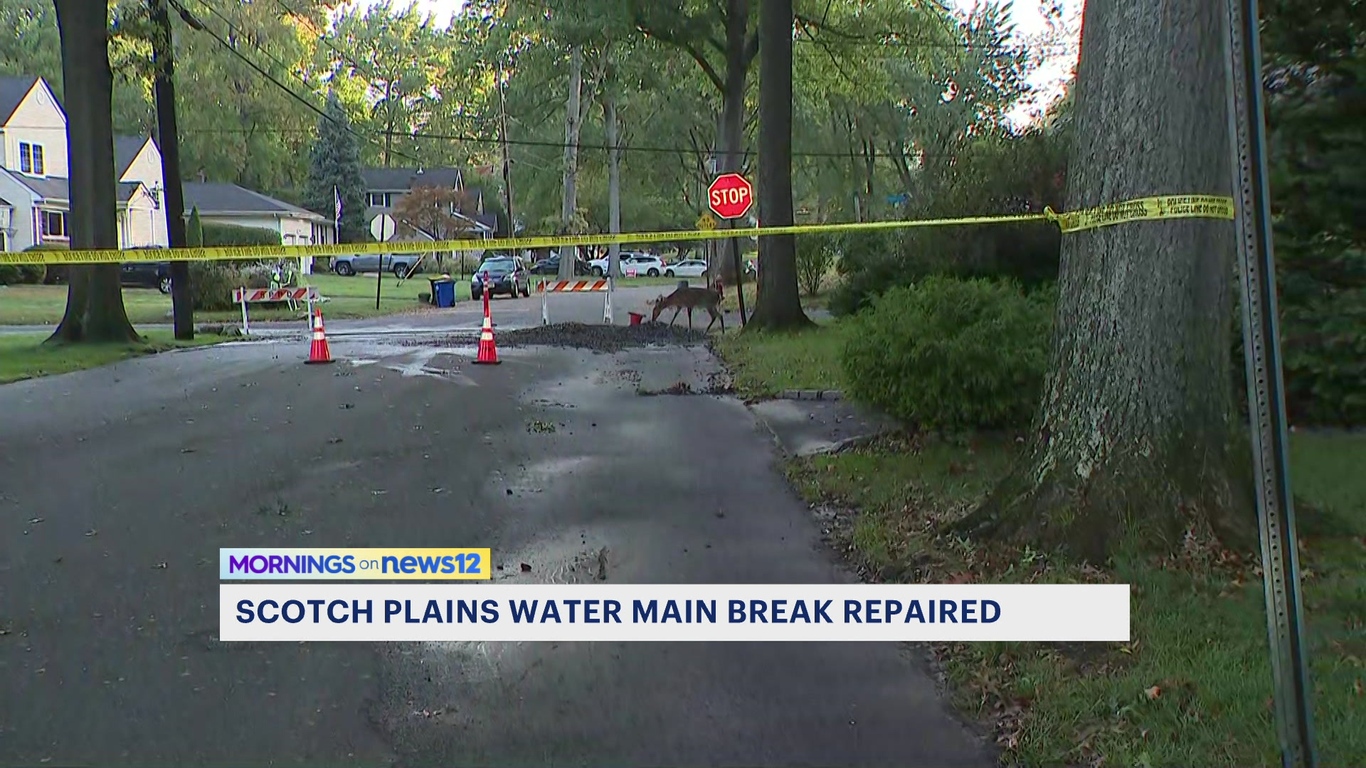 WaterMainBreakRepaired_2024-10-04-07-54-46