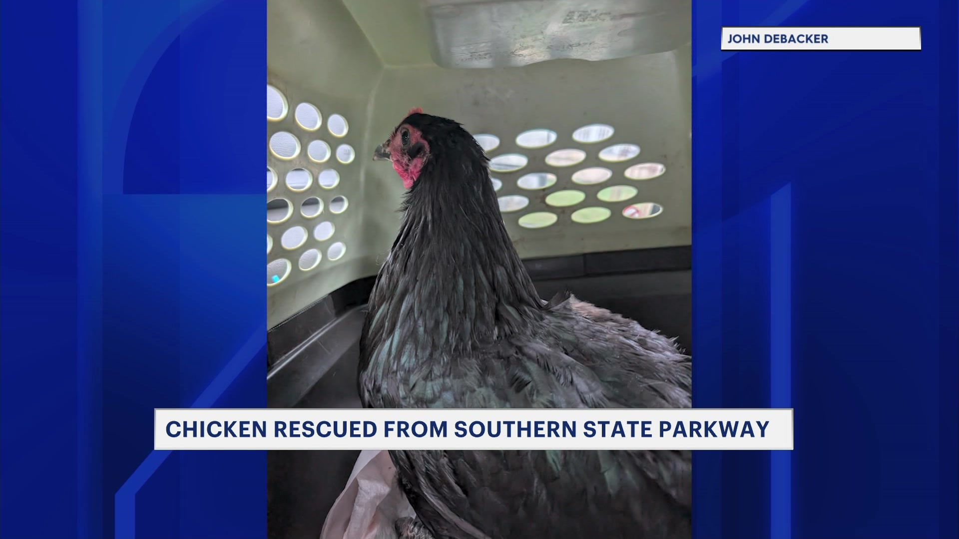 Chicken Saved MS 040226_2026-04-02-12-19-21