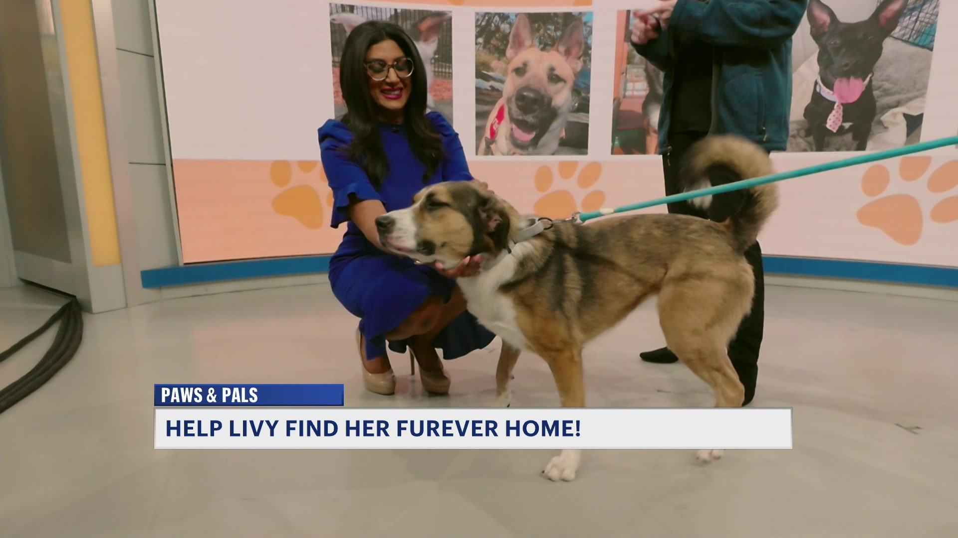 PawsAndPals313NJTA_2026-03-13-09-03-09