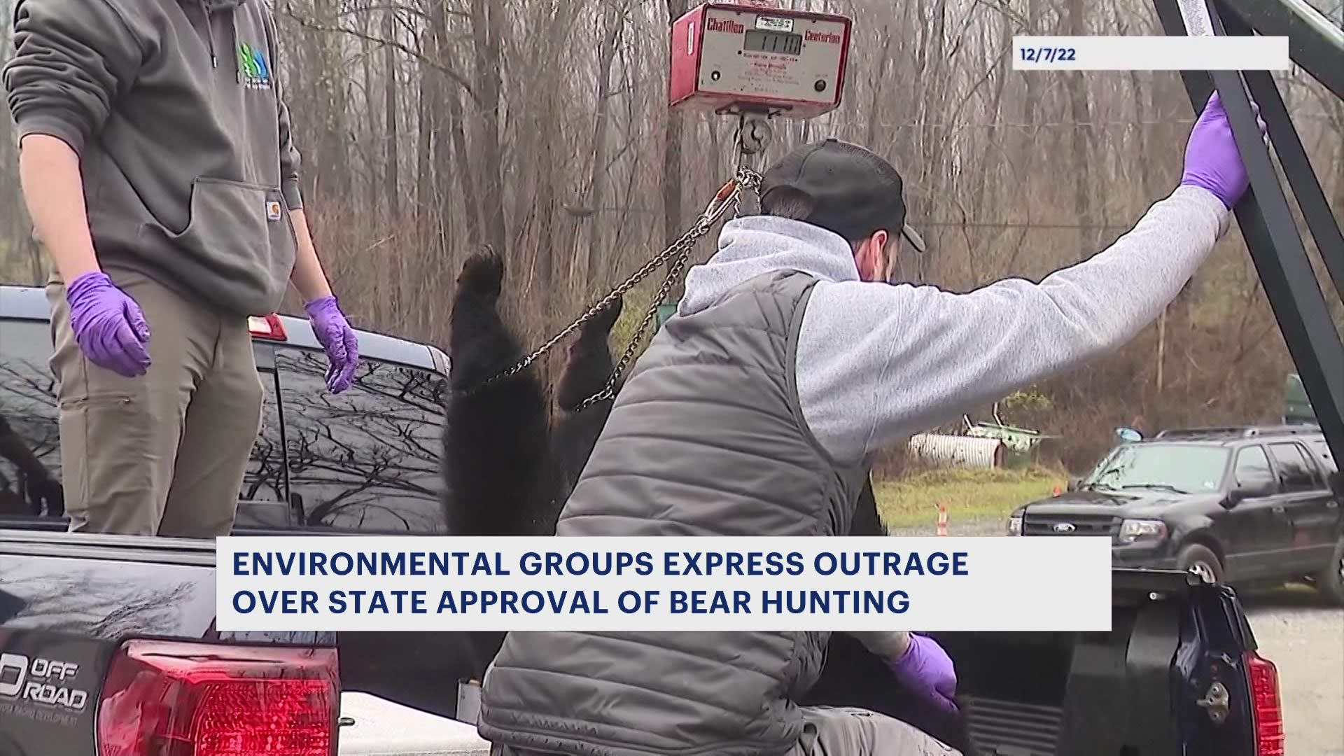 Group Calls on Murphy Administration to Cancel Bear Hunt - Insider NJ