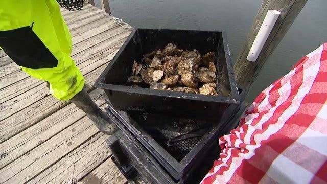 Article 122119 Thumbnail