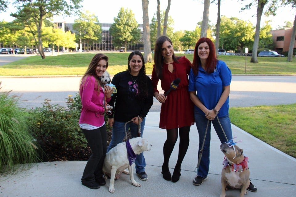 Article 129410 Thumbnail