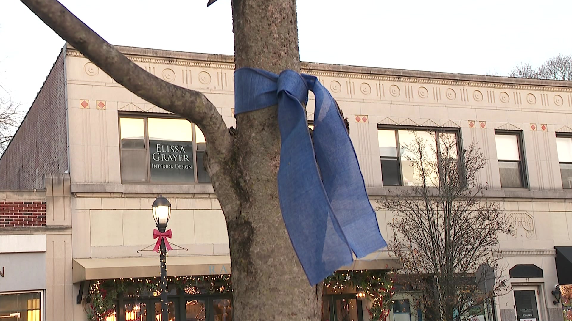 Blue ribbons showing support for Israeli hostages spark debate in Rye over  city permits, laws - ABC7 New York
