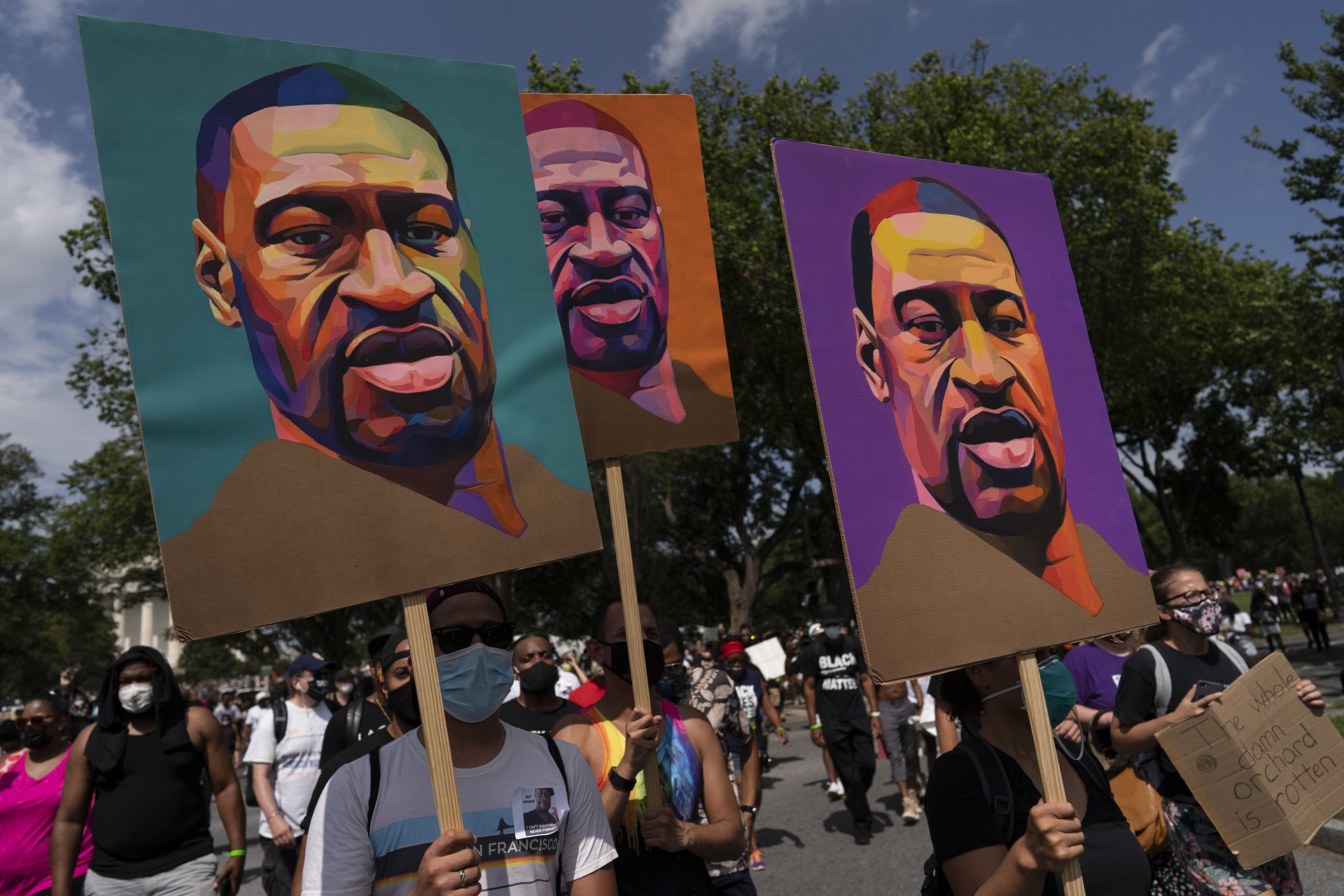 Article 255152 Hero Image