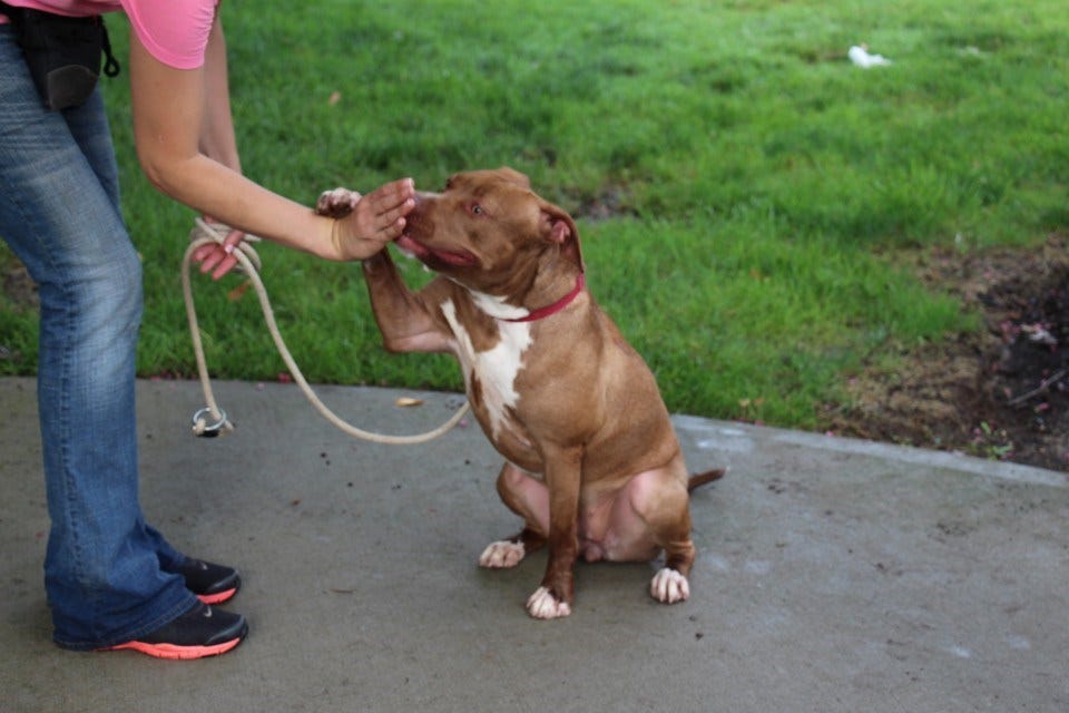 Article 139886 Thumbnail