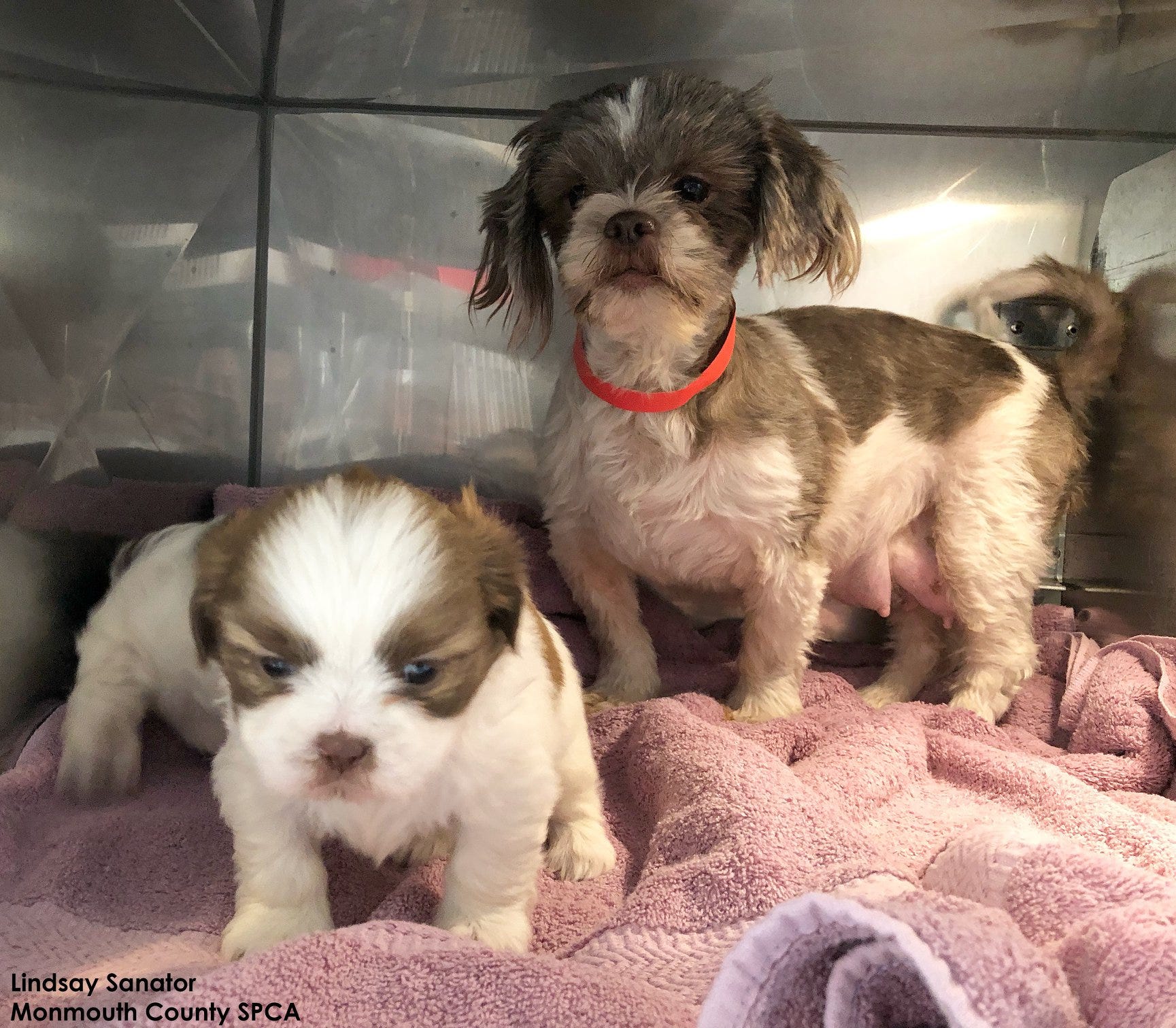 Article 150561 Thumbnail