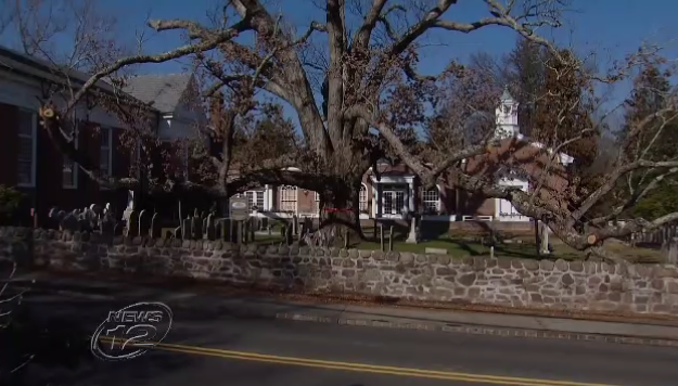 Article 115395 Thumbnail