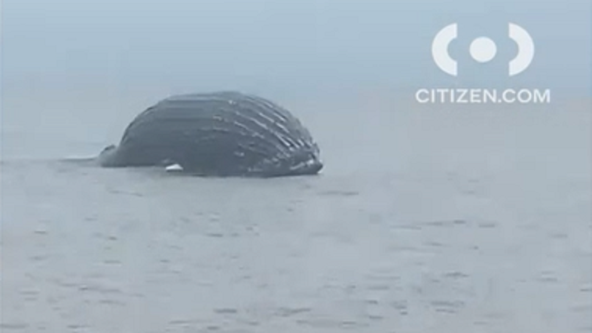 Article 272553 Hero Image