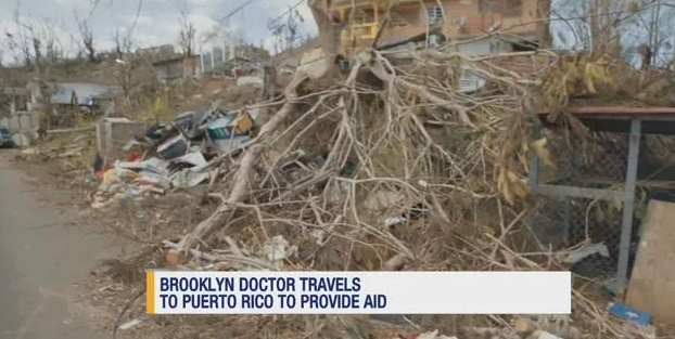 Article 115717 Thumbnail