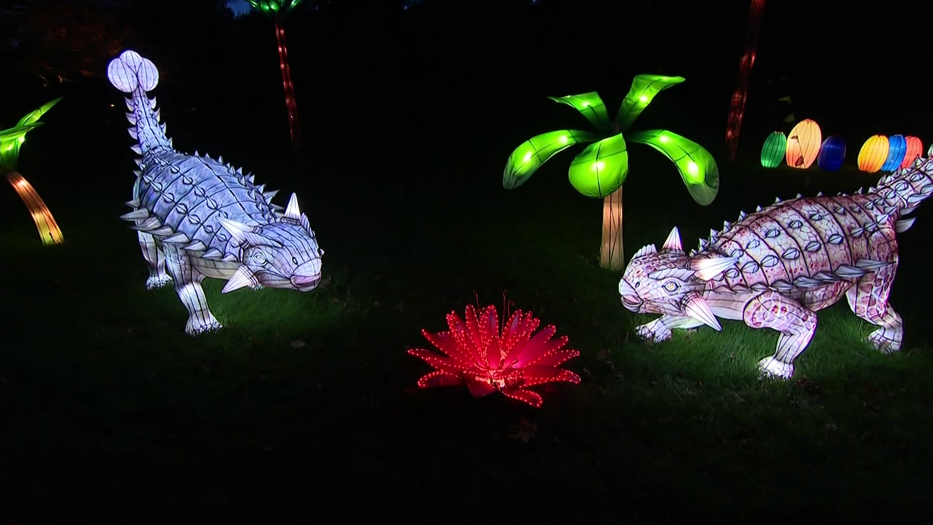 Lanterns illuminate larger than life sculptures at A Bug's Night Drivethru Adventure in Roslyn
