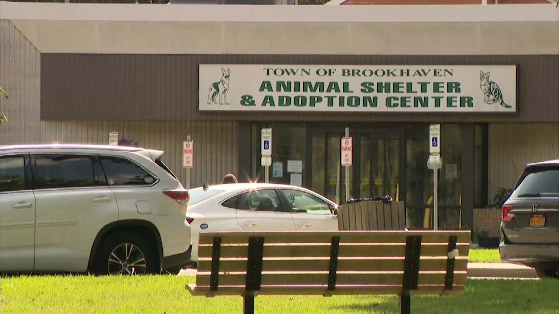 Where Is The Adoption Center in Brookhaven? Complete Guide