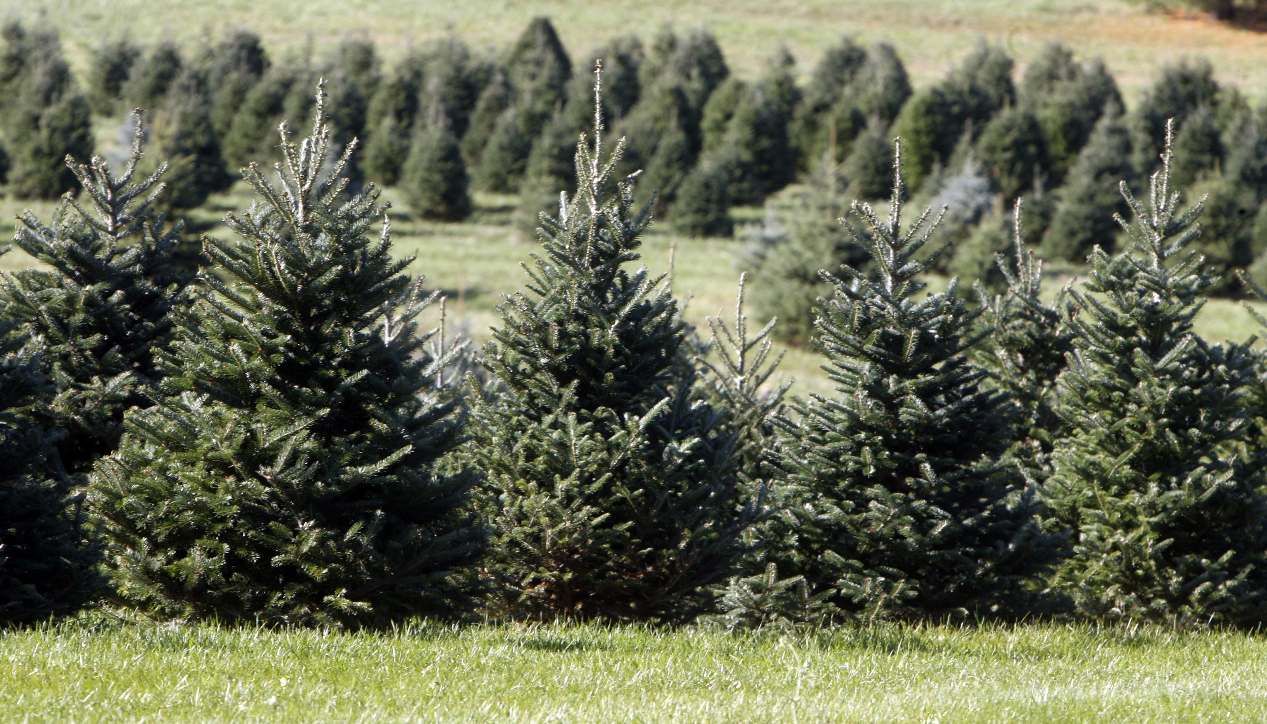 Article 279642 Hero Image