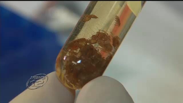 Article 135037 Thumbnail