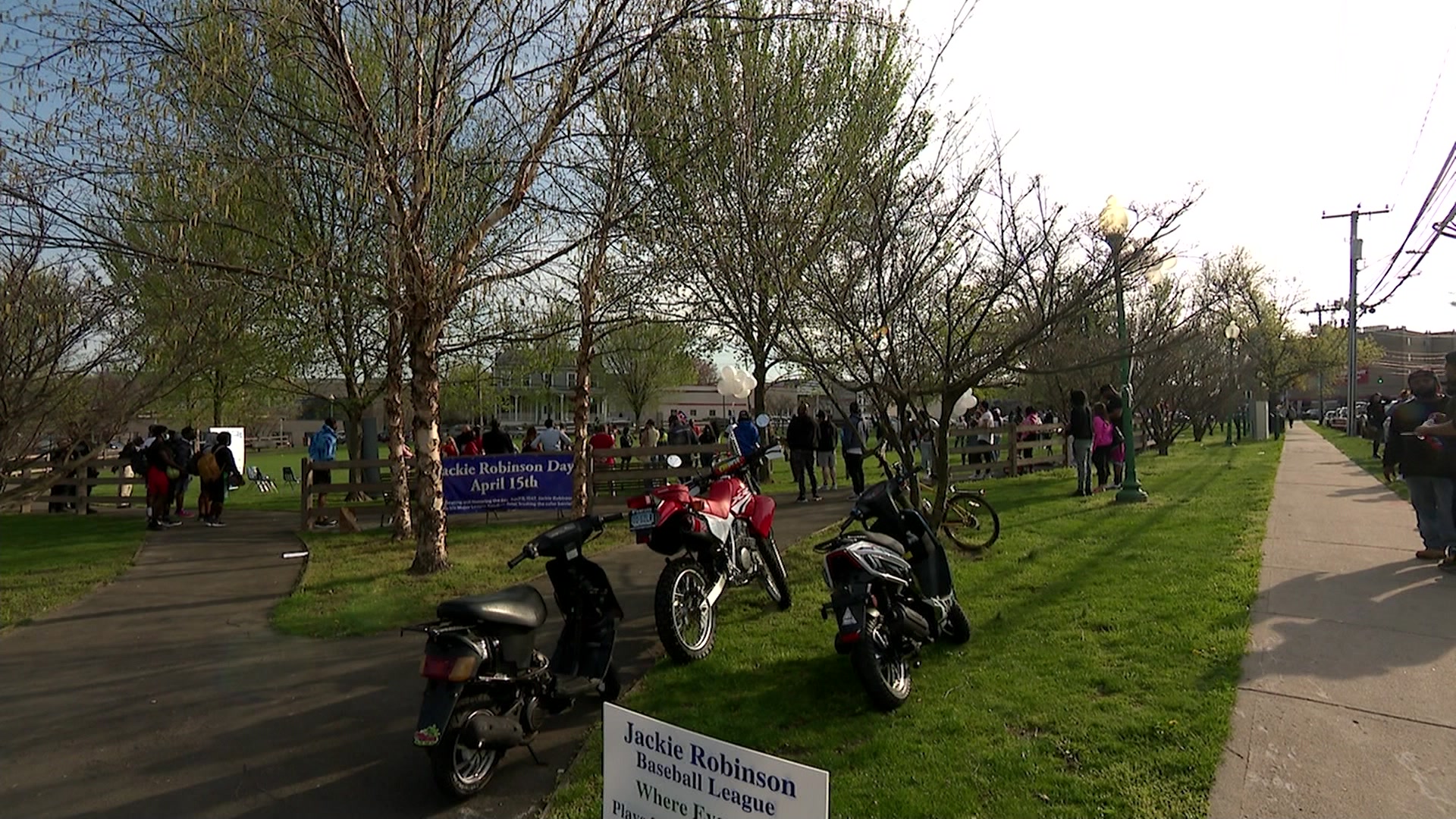 Article 258885 Thumbnail