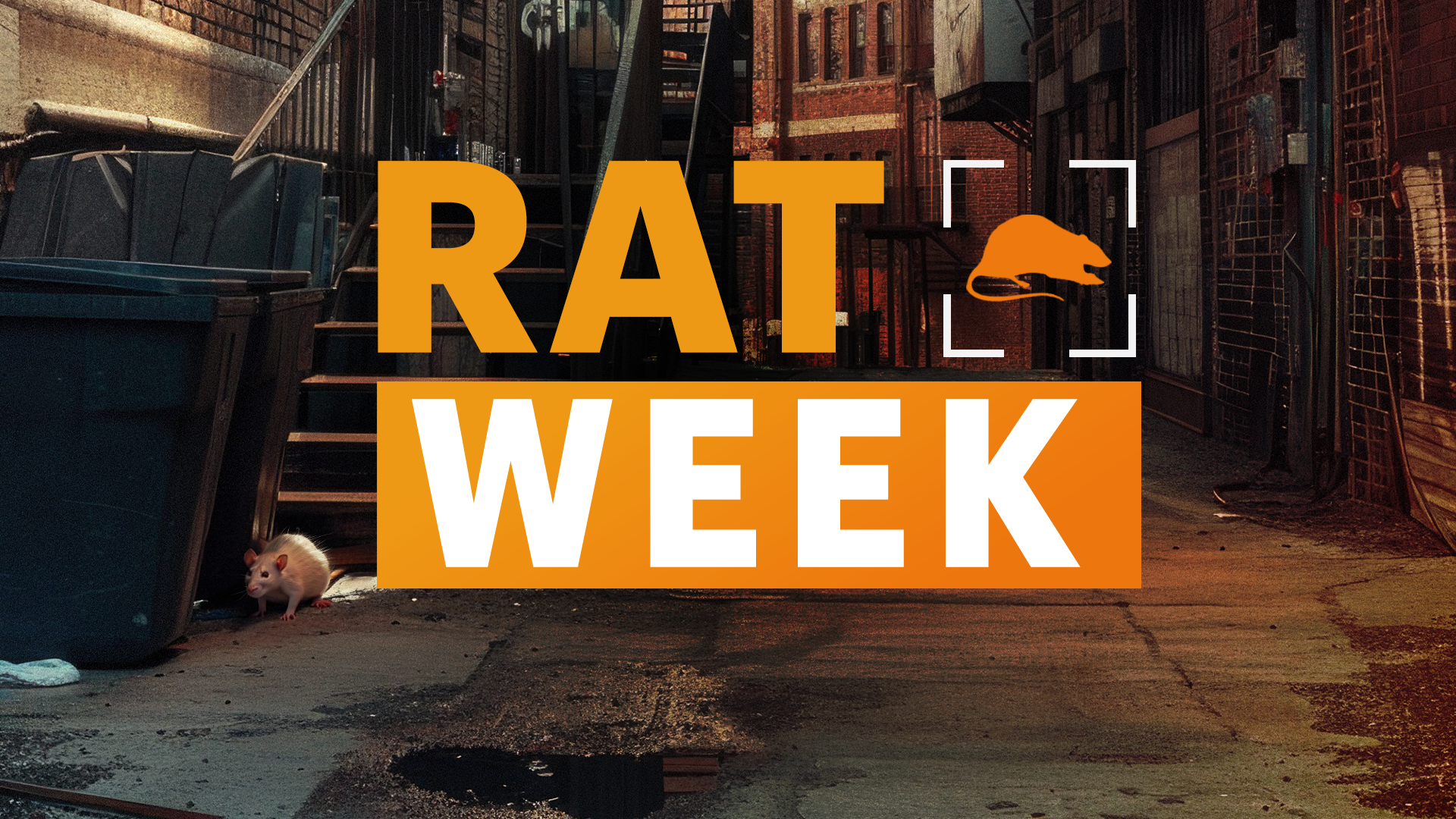 RAT WEEK BRAND GRAPHIC