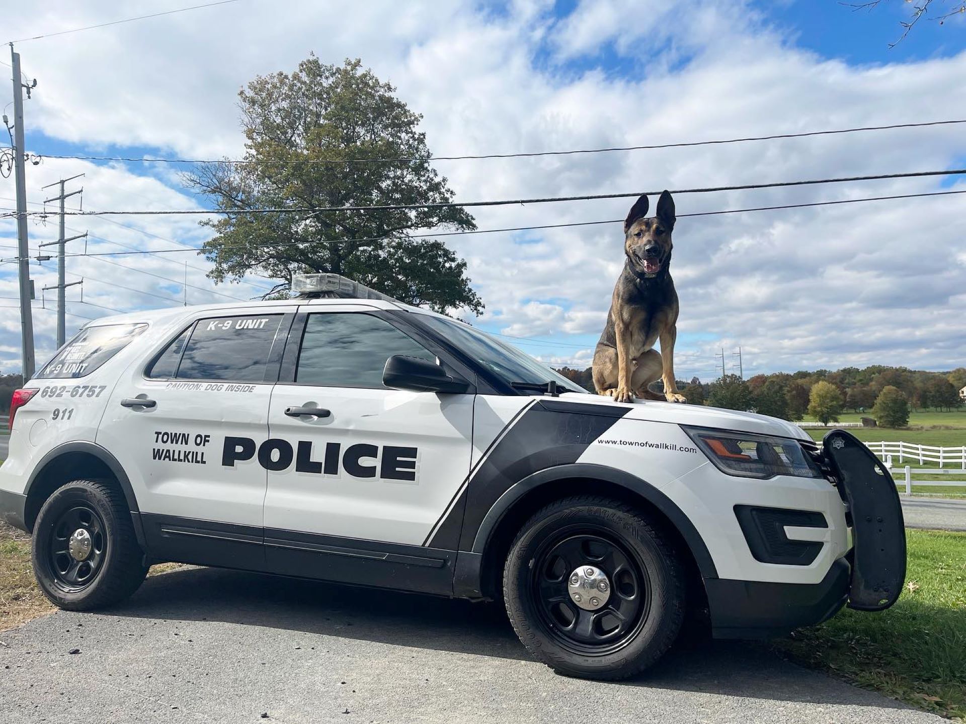 Wallkill police K-9 excels at Region 7 tracking competition
