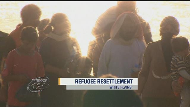 Article 118773 Thumbnail