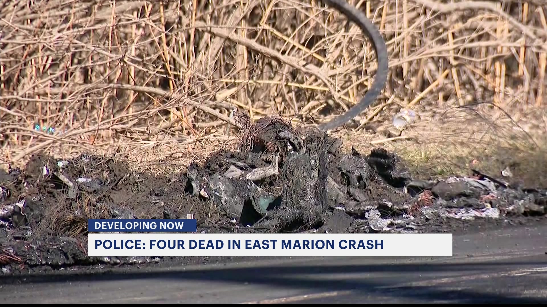 East Marion crash: Police ID 4 killed in head-on collision - Newsday