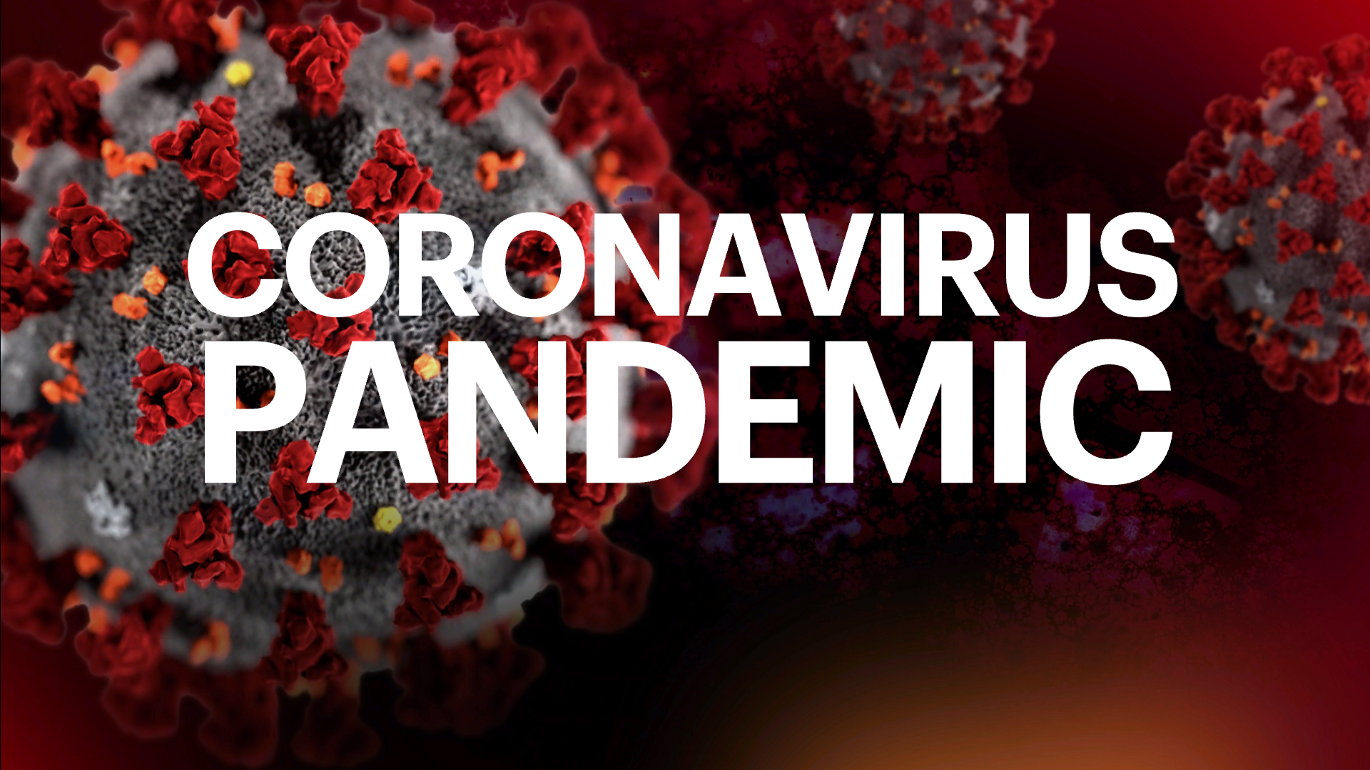 Article 244012 Hero Image