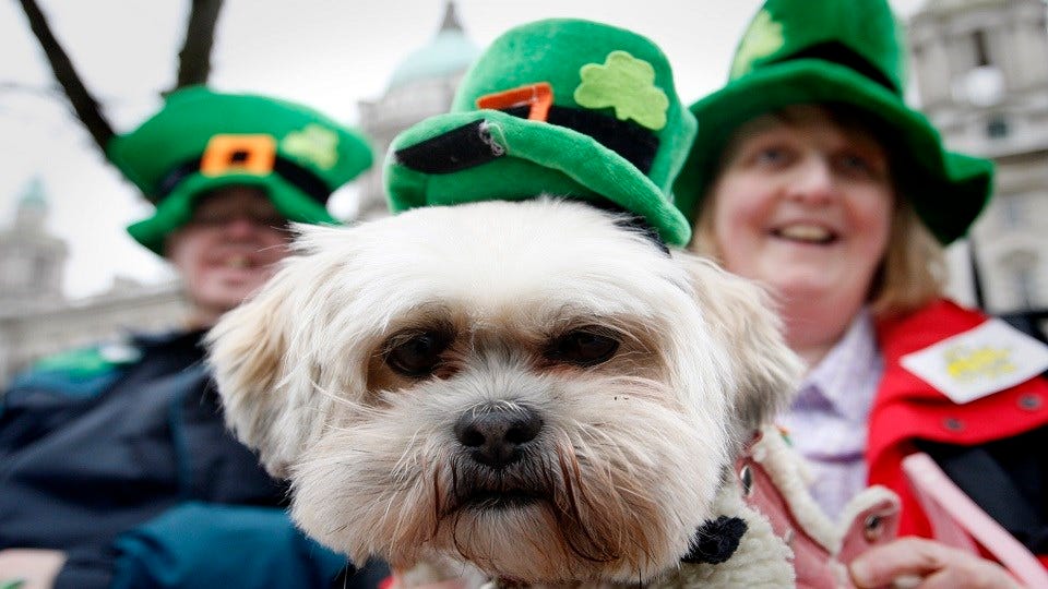 Article 4251 Thumbnail