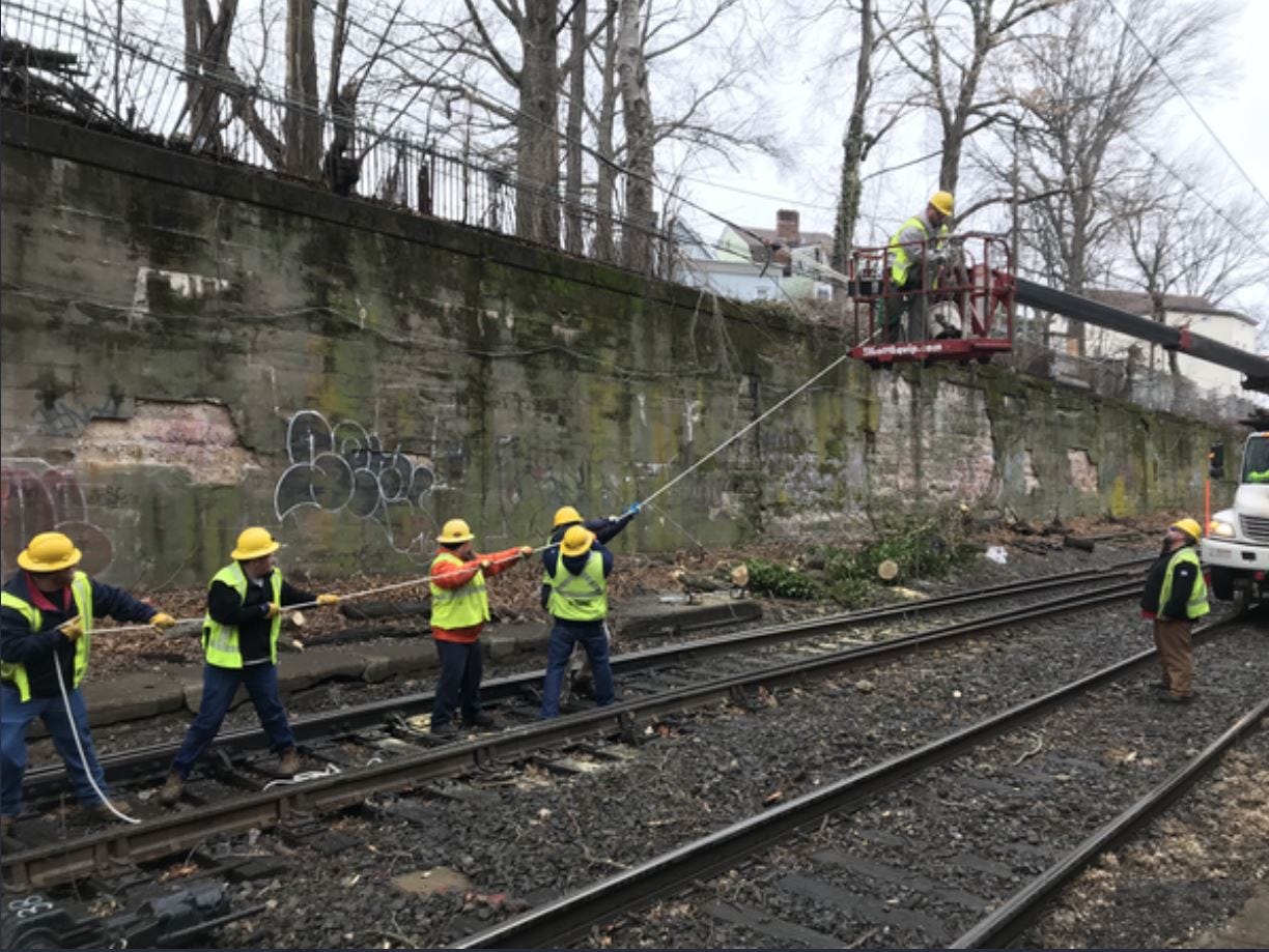 Article 19868 Thumbnail