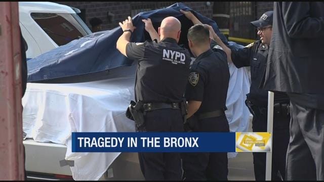 Article 45795 Thumbnail