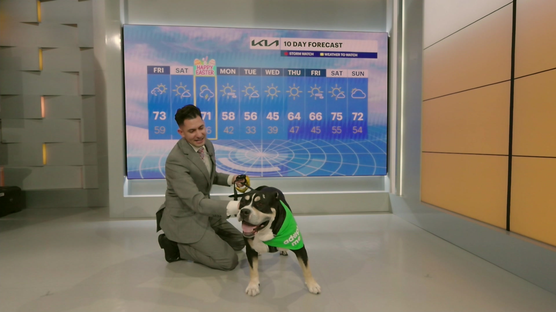 pawlsandpals_2026-04-03-11-54-49