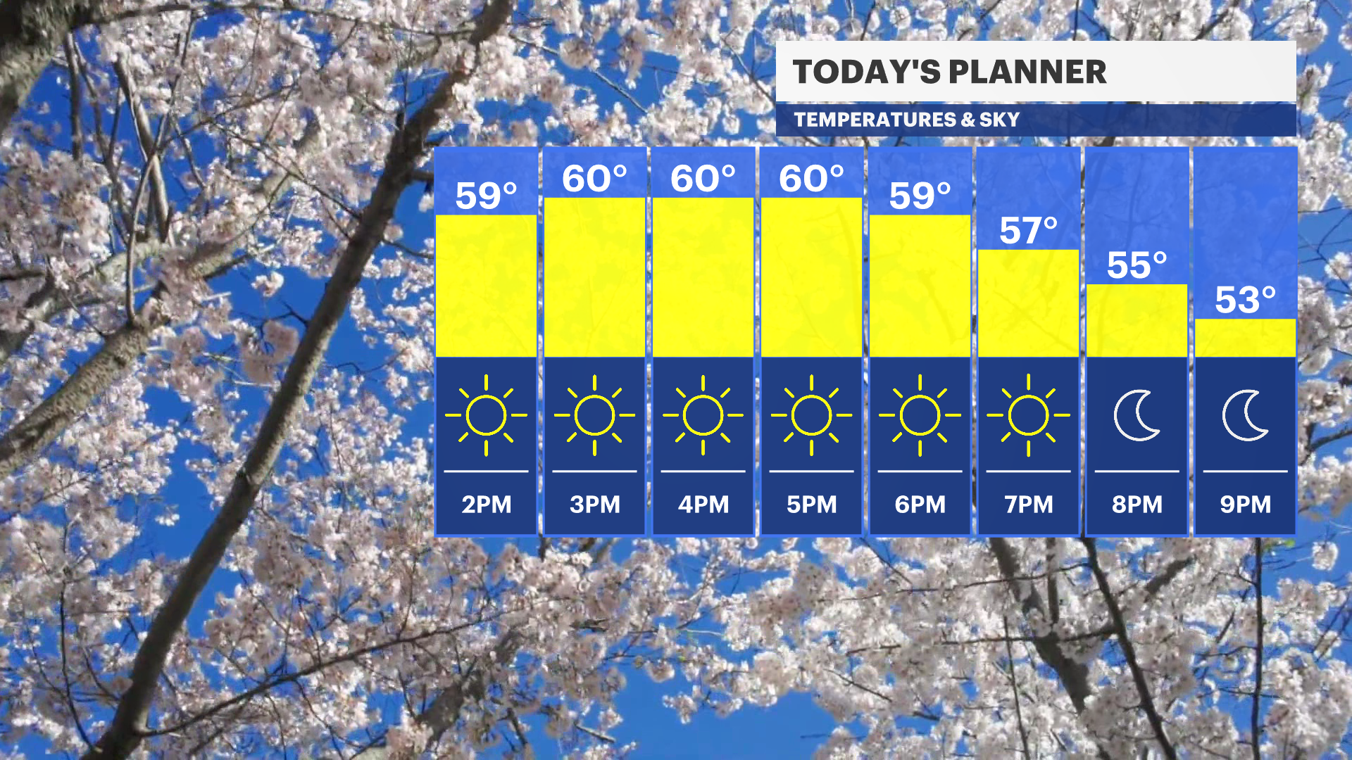 BX TODAY HOURLY PLANNER FB BAR