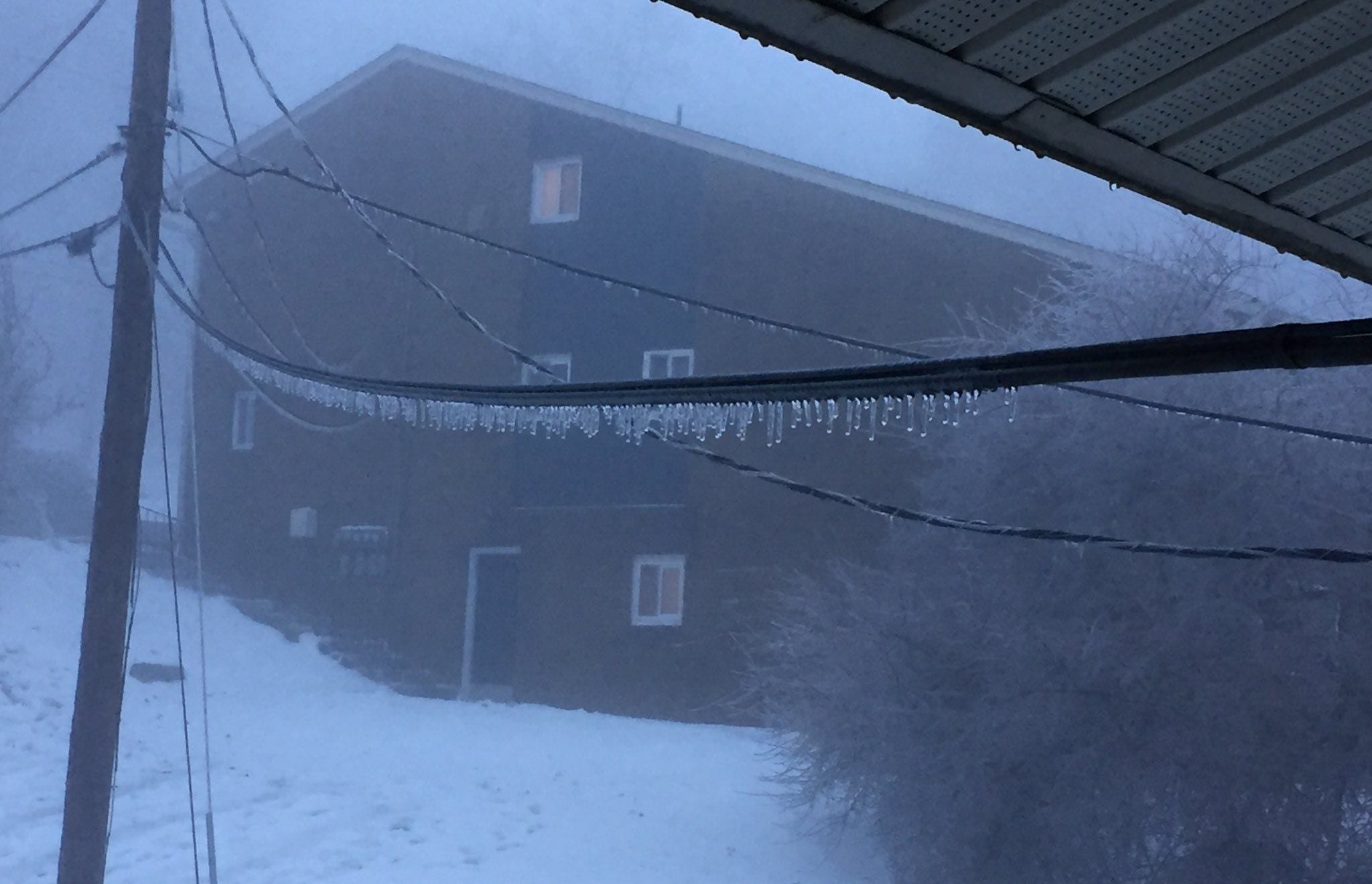 Article 29810 Thumbnail