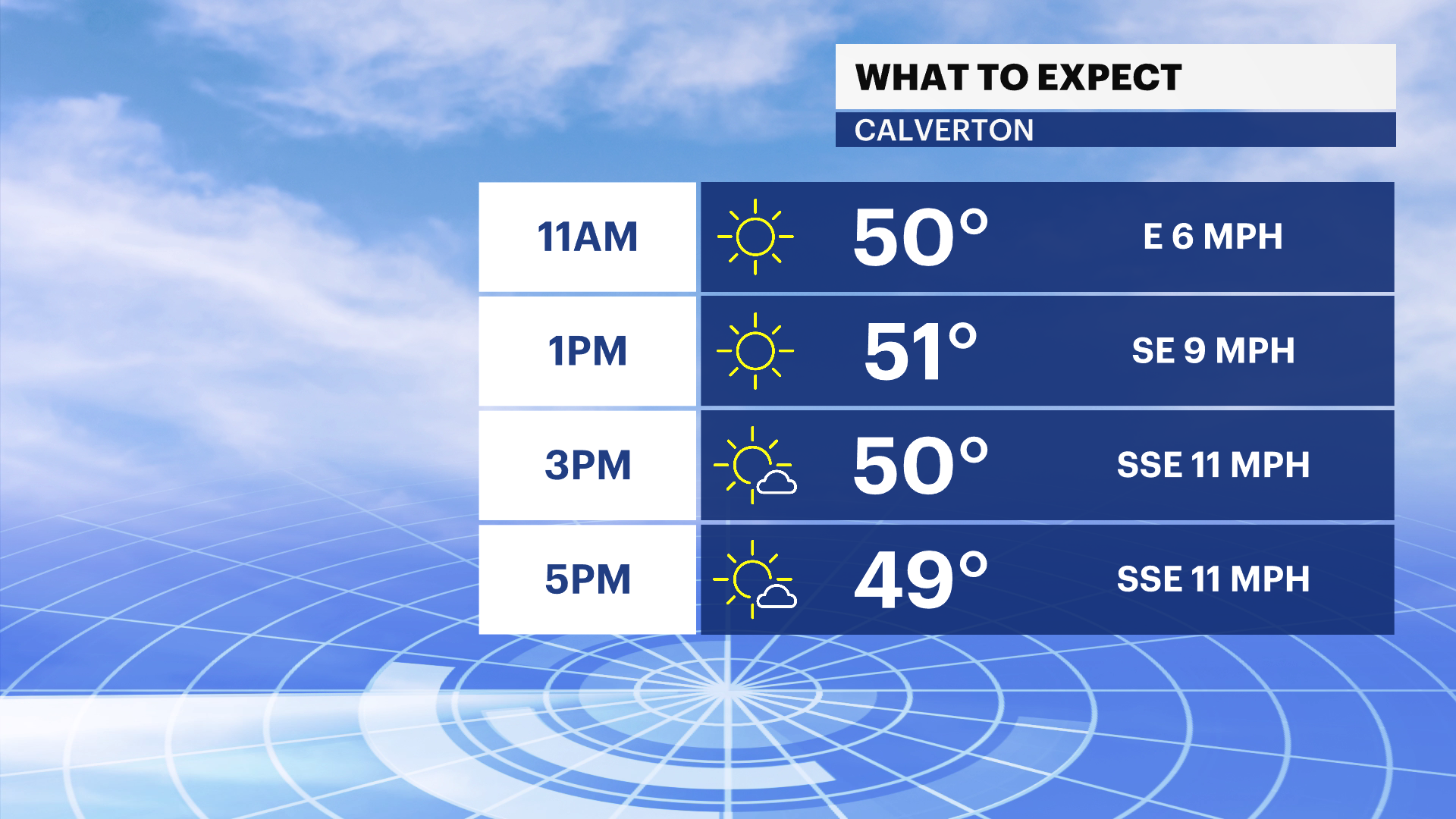 LI hourly planner (1).png