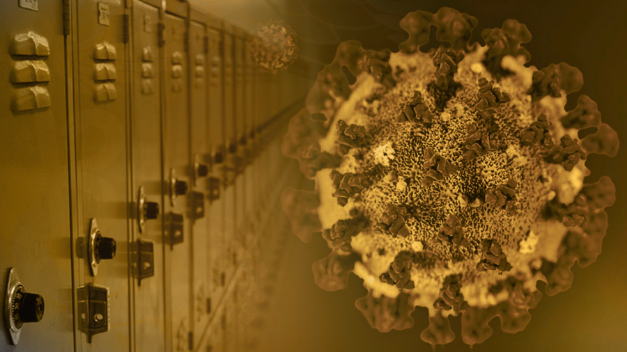 Article 21891 Thumbnail