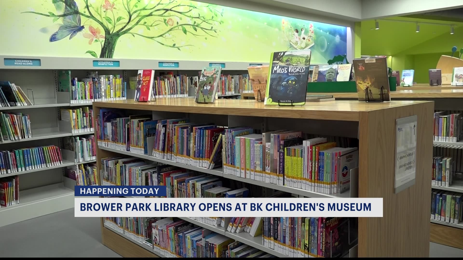 Brower Park Library reopens in brandnew Brooklyn location