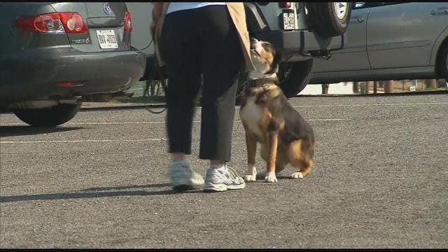 Article 129606 Thumbnail