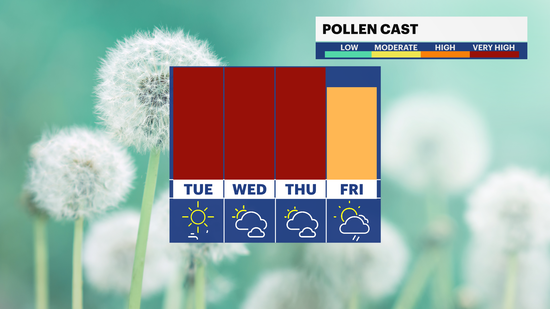 F_Pollen_PM.png