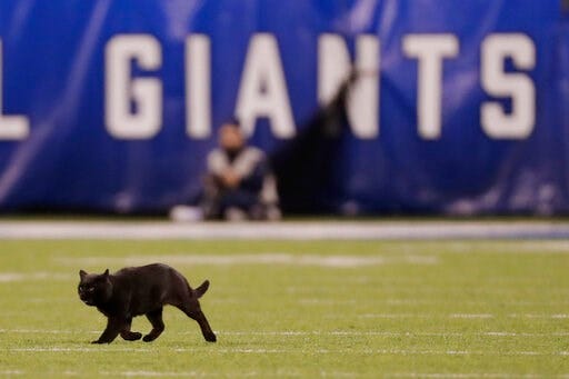 Article 34033 Thumbnail