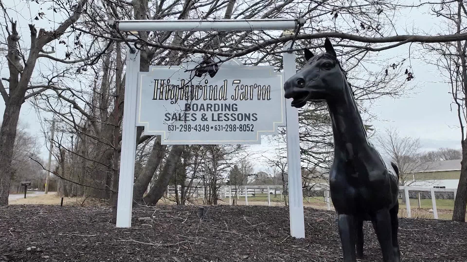 LIEEPREVI4326_2026-04-03-07-12-37