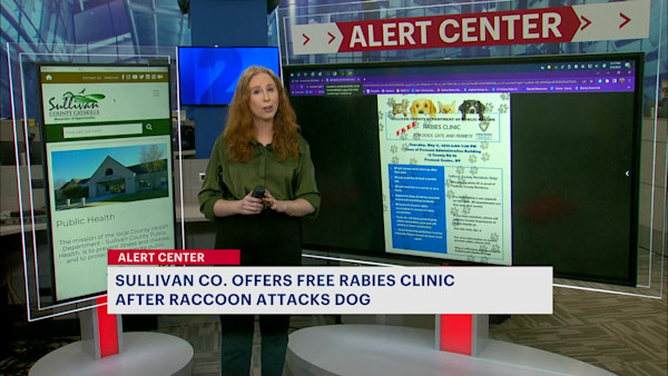 Sullivan DOH to offer free rabies clinic following rabid raccoon in area