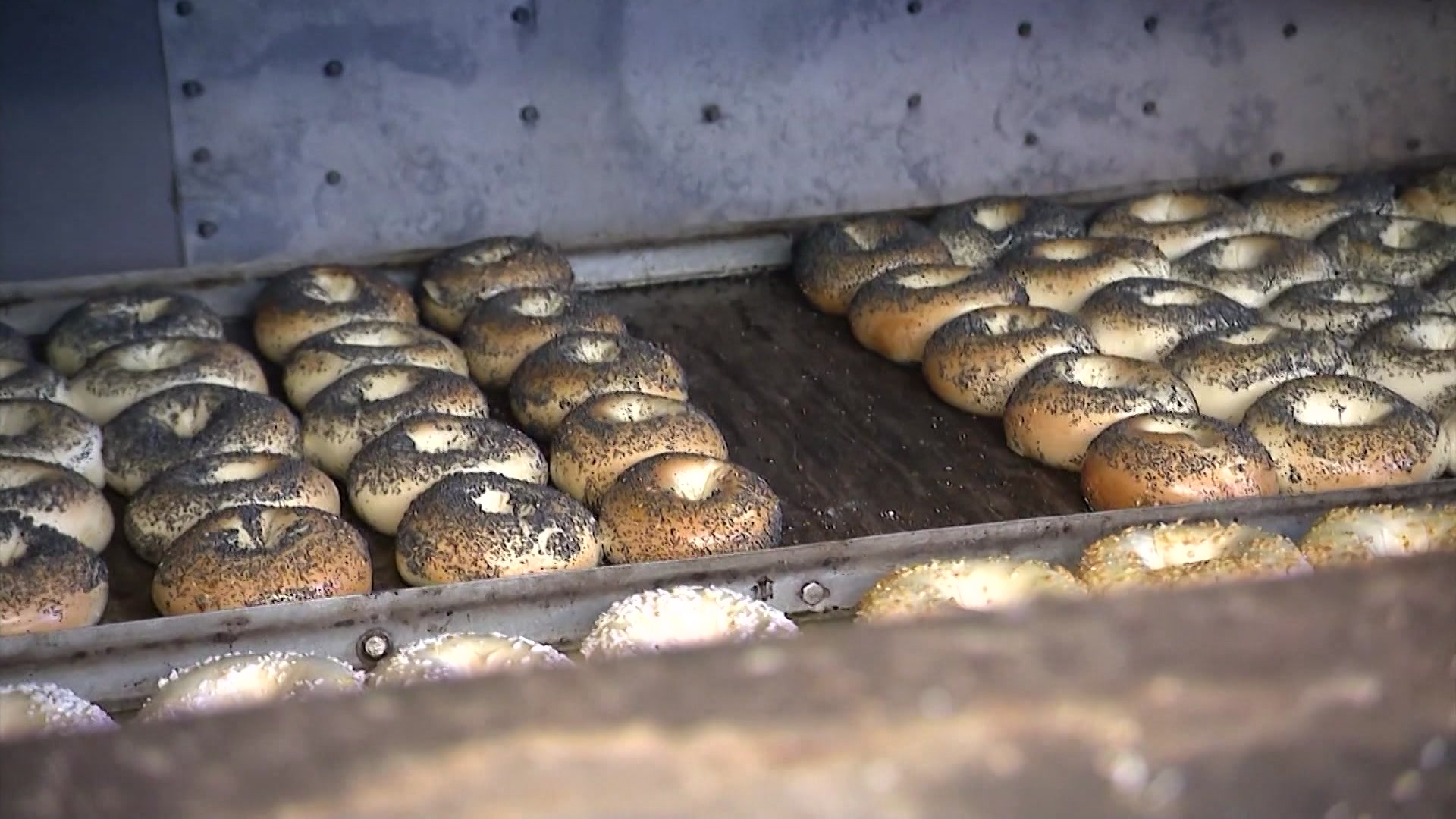 33madeonlongisland_2026-03-03-05-43-08