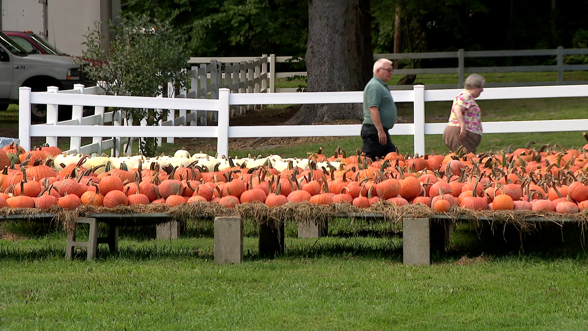 Road Trip Visit the only operating farm in Trumbull