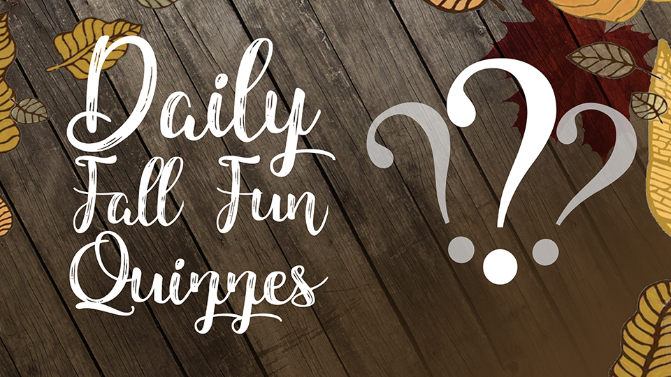 Article 135225 Thumbnail