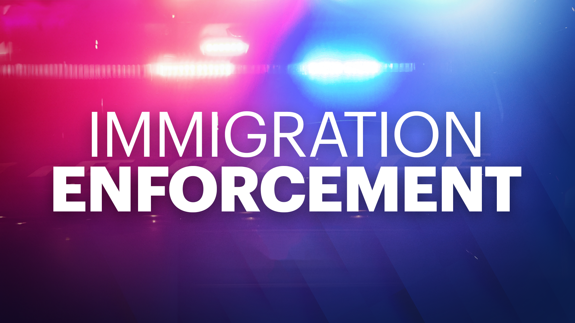 IMMIGRATION ENFORCEMENT MONITOR copy